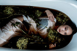 Drowning Dry Flower Poster och Canvastavla