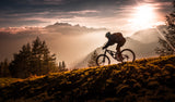 Golden hour biking Poster och Canvastavla