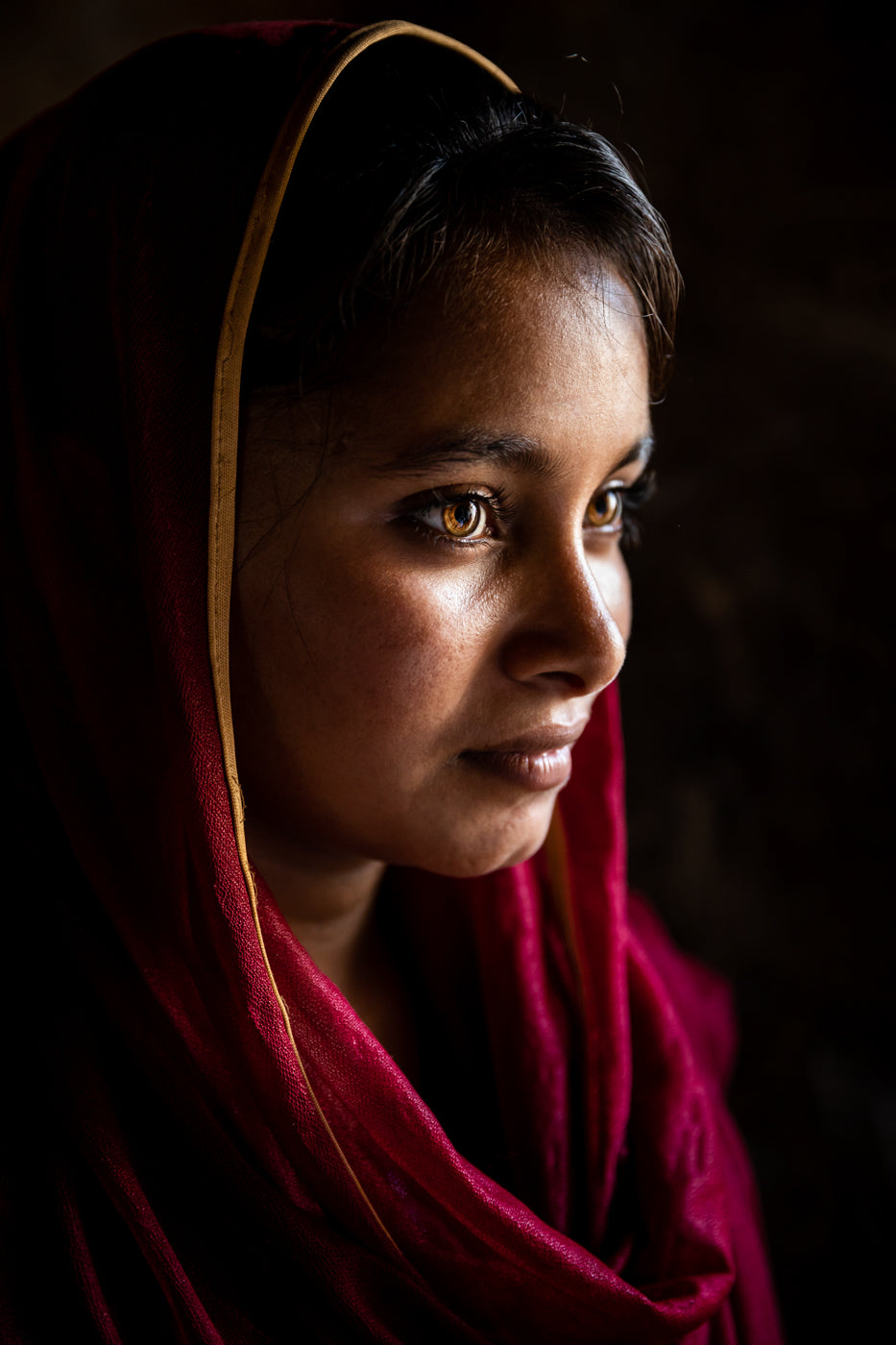 Beautiful Peasant Woman Poster och Canvastavla