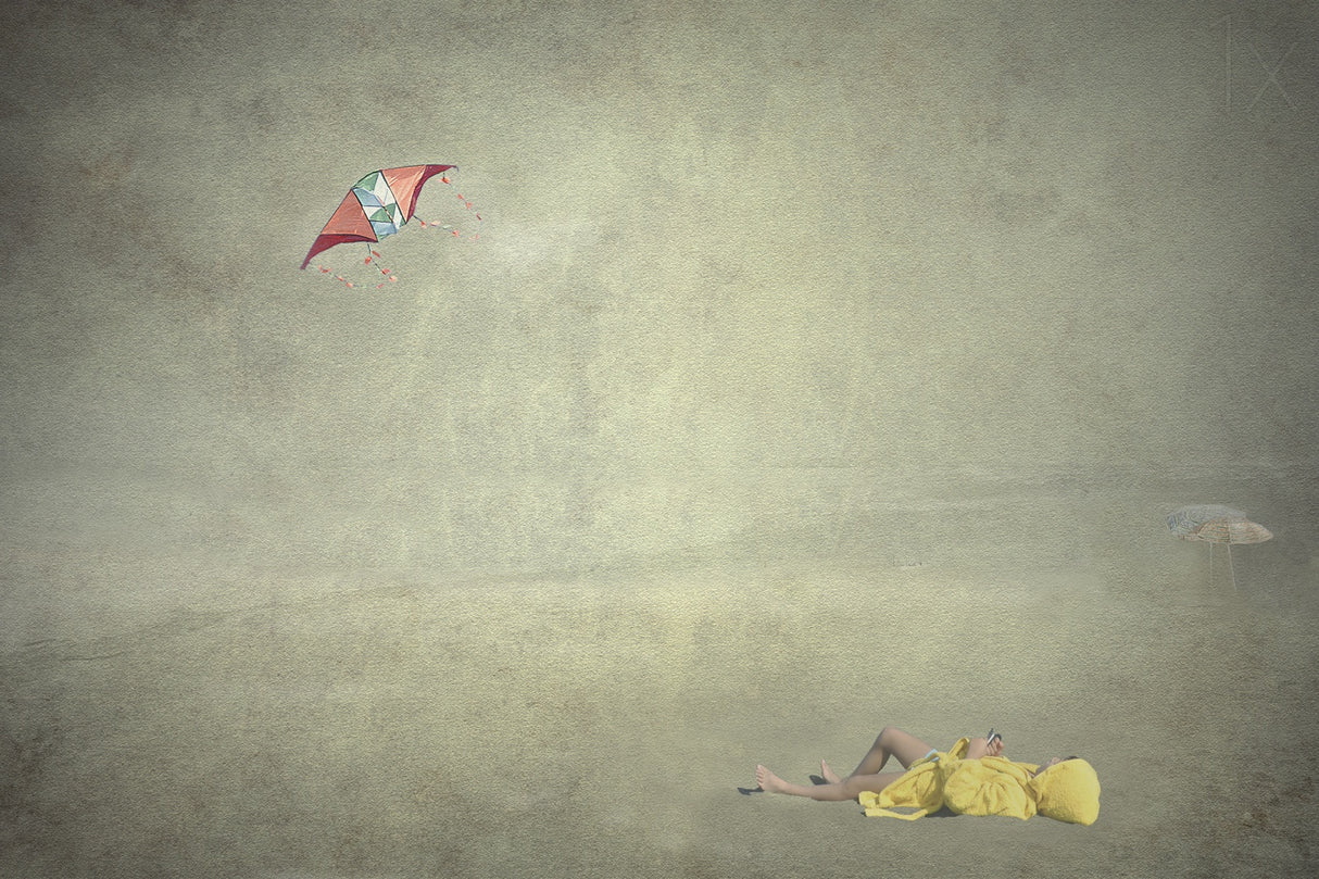 Thoughts fly Poster och Canvastavla