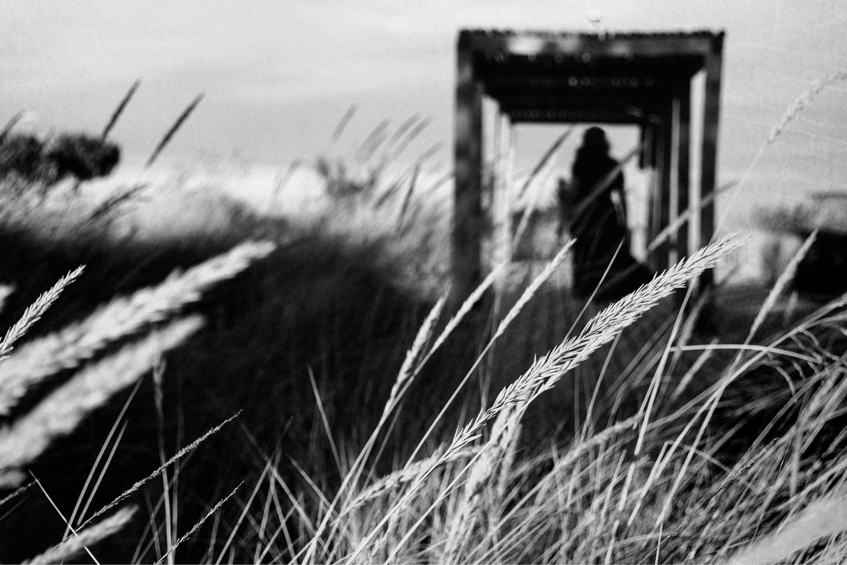 This Place Was A Shelter Poster och Canvastavla