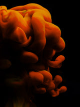 ink in water Poster och Canvastavla