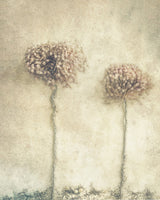 2... Poster och Canvastavla