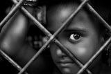 Innocent eye.. Poster och Canvastavla