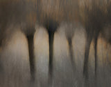 Pollard willows Poster och Canvastavla