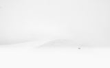 Winter story Poster och Canvastavla