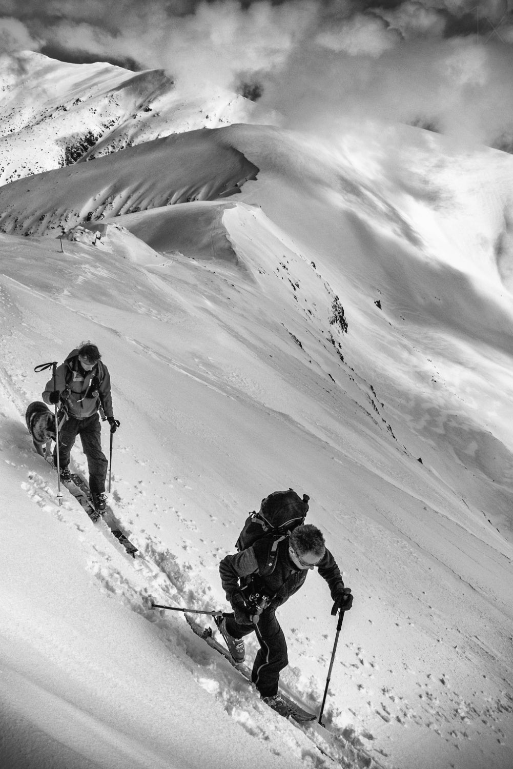 ski mountaineering . . Poster och Canvastavla
