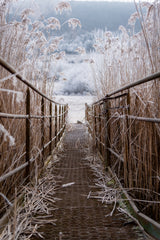 Freezing morning in Dvorniky - Vcelare, Slovakia Poster och Canvastavla