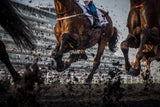 The Thunder of the Hooves Poster och Canvastavla