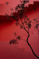 Muralla Roja #14 Poster och Canvastavla