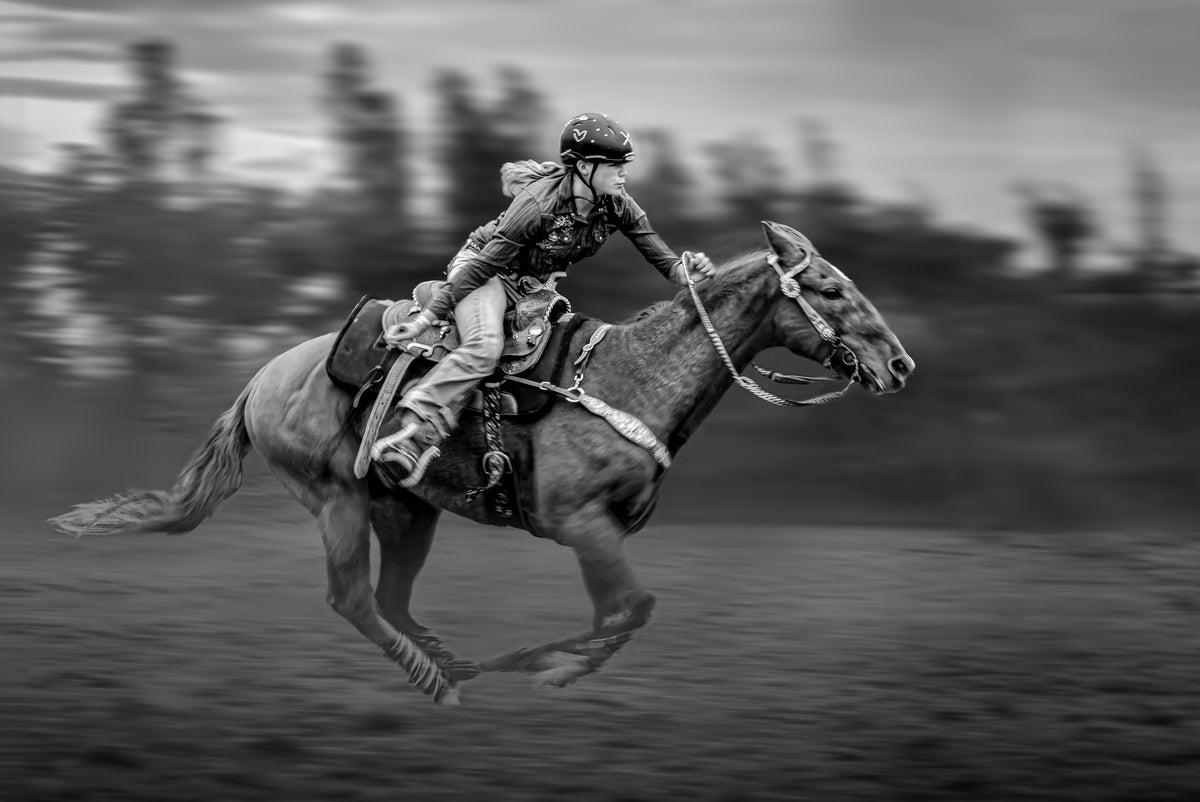 Spur On the Flying Horse Poster och Canvastavla