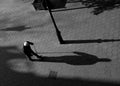 The shadow Poster och Canvastavla