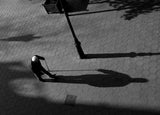 The shadow Poster och Canvastavla