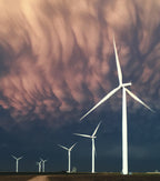 Harvesting the Wind Poster och Canvastavla