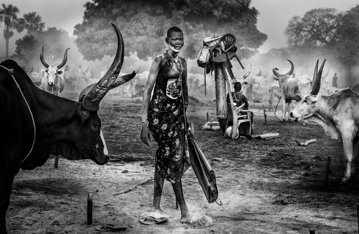 A scene of life in a mundari cattle camp. Poster och Canvastavla