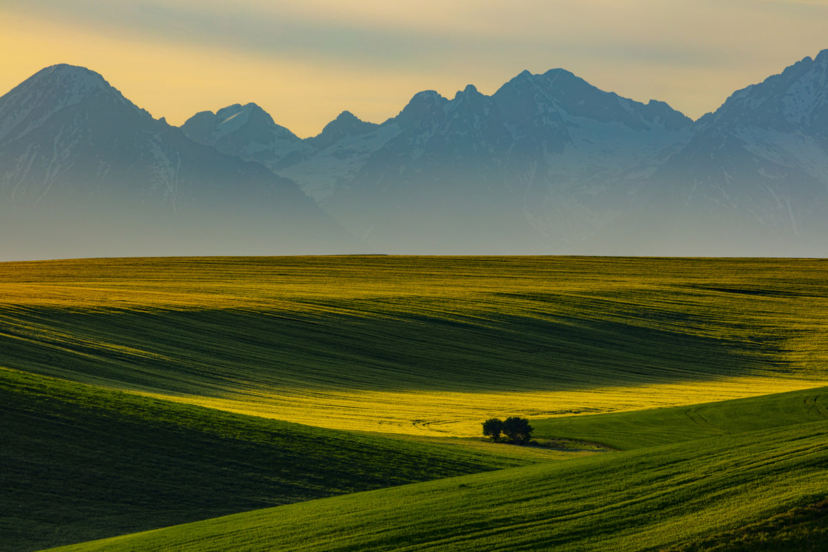 Spring under the Tatras Poster och Canvastavla