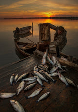 Fisherman Poster och Canvastavla
