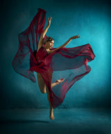 Red Butterfly Poster och Canvastavla