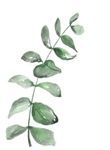 Watercolor greenery branch Poster och Canvastavla