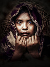 Bicolor Soulful Eyes Poster och Canvastavla