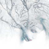 The tree Poster och Canvastavla