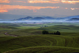 Wheat field in Palouse Poster och Canvastavla
