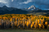 Mt Sneffels in Autumn Poster och Canvastavla