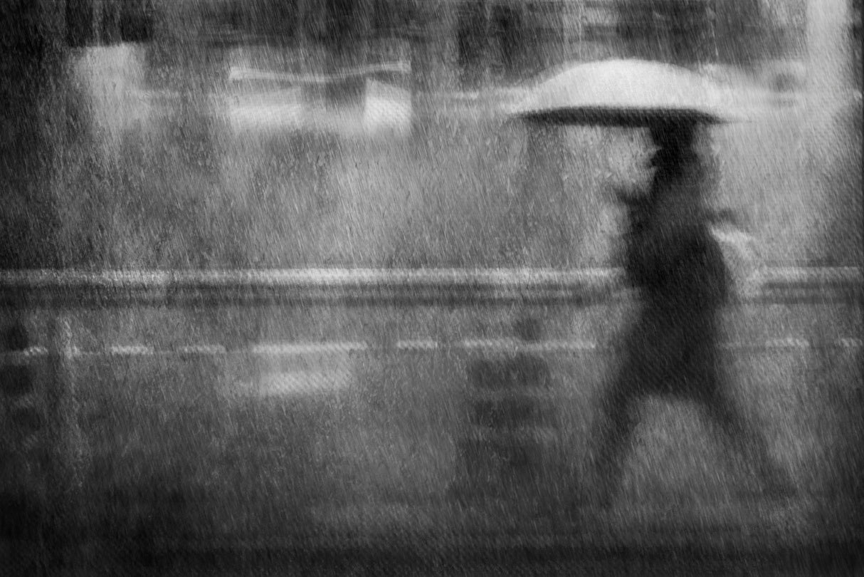 Rainy walker Poster och Canvastavla
