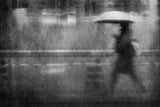 Rainy walker Poster och Canvastavla