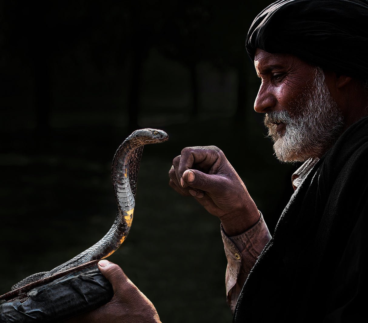 Snake Charmer Poster och Canvastavla