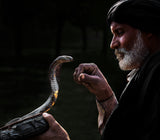 Snake Charmer Poster och Canvastavla