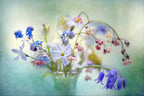 Spring Treasures Poster och Canvastavla