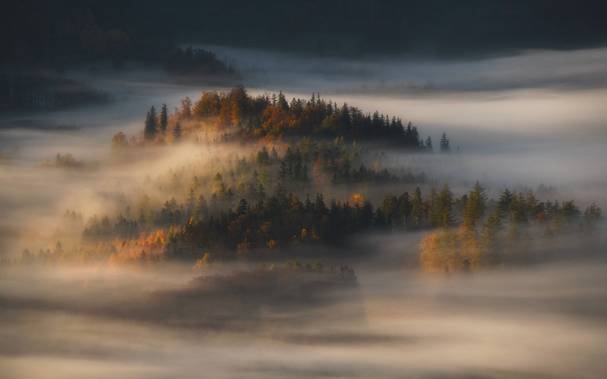 Autumn Poster och Canvastavla