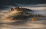 Autumn Poster och Canvastavla