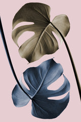 Monstera Pink Light 02 Poster och Canvastavla
