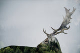 Antler Double-exposed Poster och Canvastavla