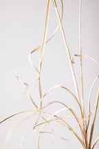 Dried Grass Grey 01 Poster och Canvastavla
