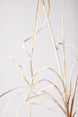 Dried Grass Grey 01 Poster och Canvastavla