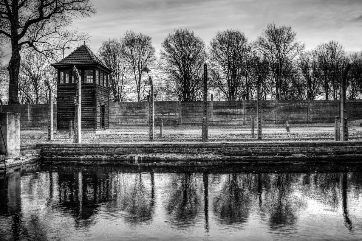 Auschwitz pond Poster och Canvastavla