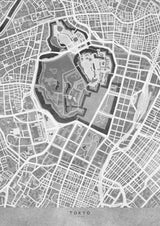 Gray vintage map of Tokyo Poster och Canvastavla
