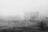 Fogy morning Poster och Canvastavla