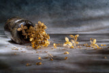 Memories of autumn... Poster och Canvastavla