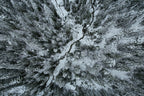 Vancouver first snow Poster och Canvastavla