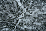 Vancouver first snow Poster och Canvastavla