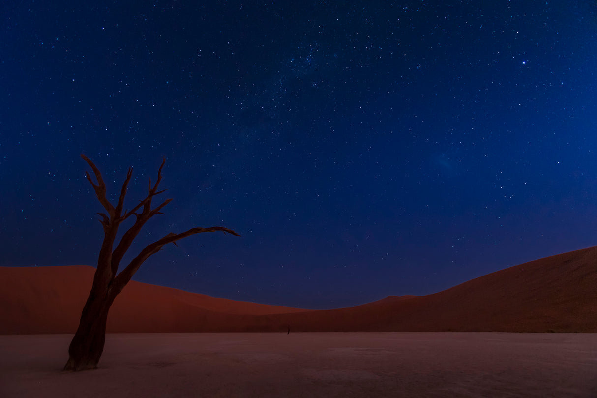 Stars and Dunes Poster och Canvastavla