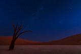 Stars and Dunes Poster och Canvastavla