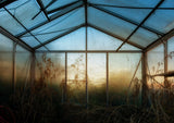The greenhouse Poster och Canvastavla
