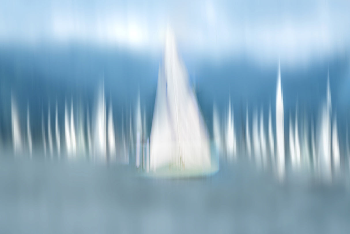 Sailing Poster och Canvastavla