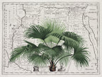 Tropical Empire No3 Poster och Canvastavla
