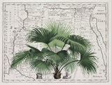 Tropical Empire No3 Poster och Canvastavla